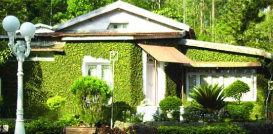 The Lake Forest Yercaud – Club Mahindra Yercaud Resort club-mahindra-resorts-yerca