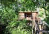 Treehouse_in_france